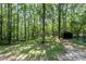 Overgrown backyard has towering trees shading a small shed, providing a natural landscape at 5217 West Oaks Dr, Fuquay Varina, NC 27526