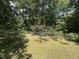 Landscaped backyard with mature trees providing shade and privacy at 101 Creekside Dr, Selma, NC 27576