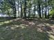 Backyard wooded lot filled with large trees at 101 Creekside Dr, Selma, NC 27576