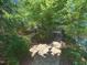 Backyard path through a lush garden leads to a small pond at 101 Painted Rock Ct, Garner, NC 27529