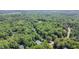 Aerial view of the neighborhood with many lush, green trees and homes at 2613 Sweet Gum Dr, Hillsborough, NC 27278
