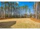 Spacious backyard with tall trees, manicured lawn, and natural foliage at 5148 Glen Creek Trl, Garner, NC 27529
