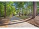 Long, paved driveway leads to a brick home surrounded by lush trees and natural landscaping at 7529 Tynewind Dr, Wake Forest, NC 27587