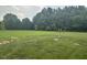 Large, well-maintained backyard with lush green grass and mature trees at 8 Open View Ln, Timberlake, NC 27583