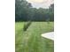 Lush green backyard with freshly mowed grass and manicured row of evergreen trees at 8 Open View Ln, Timberlake, NC 27583