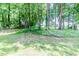 A lush green backyard filled with mature trees at 26 Shadymont Dr, Pittsboro, NC 27312