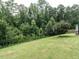 Lush backyard features a manicured lawn, privacy fence, and views of mature trees at 3441 Jordan Shires Dr, New Hill, NC 27562