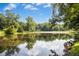 Picturesque view of a tranquil pond surrounded by lush greenery and mature trees at 4137 Gardenlake Dr, Raleigh, NC 27612