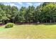 Expansive backyard showcasing a well-manicured lawn and a backdrop of mature trees at 210 Olde Liberty Dr, Youngsville, NC 27596