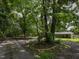 View of a long driveway leading to a home, surrounded by mature trees and natural landscaping at 4324 Garland Dr, Raleigh, NC 27606