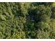 Aerial view of the property showcasing a detached garage, home and surrounding green, wooded acreage at 3603 Grimes Ave, Durham, NC 27703