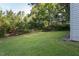The backyard features a well-maintained lawn, surrounded by mature trees and greenery, perfect for outdoor activities at 3603 Grimes Ave, Durham, NC 27703
