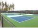 Multiple pickleball courts are available for residents to enjoy in this active community at 167 Edgefield St, Pittsboro, NC 27312