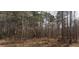 Image shows a wooded section of property, covered with pine and bare-branched trees at 8430 Orange Grove Rd, Chapel Hill, NC 27516