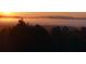 Scenic sunrise view over a misty forest, creating a serene and picturesque natural landscape at 213 Westhampton Dr, Pittsboro, NC 27312