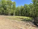 Unfinished backyard with trees and some grass, waiting for a new Gathering to enjoy the outdoors at 316 Firefly Overlook, Pittsboro, NC 27312