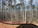 View of wooded property boundary with a black construction barrier in place at 162 Gaines Trail, Pittsboro, NC 27312