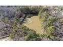 Aerial view of a tranquil pond with fountain feature surrounded by lush trees at 2812 Theresa Eileen Way, Raleigh, NC 27603