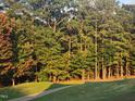 Scenic view of backyard wooded lot with trees and sunlight shining through the forest at 649 Riverwood Dr, Clayton, NC 27527