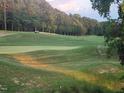 Beautiful, green golf course with a golf cart in the distance surrounded by a forest of trees at 649 Riverwood Dr, Clayton, NC 27527