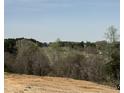 Scenic land view with lush trees, open fields, and a serene sky above at 85 Claude Creek Way, Smithfield, NC 27577