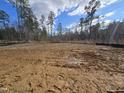 Empty lot ready for new construction, surrounded by trees at 19 Streamline Ct, Lillington, NC 27546