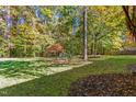 Spacious backyard with mature trees and landscaping at 413 Chadwick Ln, Efland, NC 27243