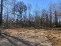 Cleared lot ready for new construction, surrounded by mature trees at 801 River Rd, Selma, NC 27576