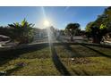 Landscaped front yard with tropical plants at 31 Strickland Rd, Smithfield, NC 27577