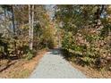 Gravel path through a wooded area, surrounded by mature trees, perfect for a nature walk at 7039 Old 421 Rd, Liberty, NC 27298