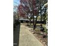 Landscaped backyard with mature trees offering shade and privacy at 229 Davis Mill Rd, Selma, NC 27576