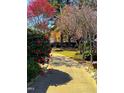 Picturesque garden path surrounded by vibrant flowering trees and bushes at 229 Davis Mill Rd, Selma, NC 27576