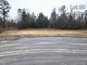 Empty lot ready for new construction, surrounded by trees. Lot 90 at 69 Streamline Ct, Lillington, NC 27546