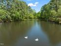 A view of the lake with two swans swimming peacefully on the water at 1408 Ferrell Ct, Creedmoor, NC 27522
