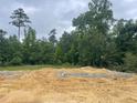 New home foundation on a spacious lot surrounded by mature trees, offering privacy and natural beauty at 68 Streamline Ct, Lillington, NC 27546