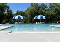 Relaxing community pool with umbrellas and lounge chairs at 178 Pretty Run Branch Ln, Wendell, NC 27591