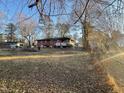 Large backyard with mature trees and chain link fence at 6416 Diamond Dr, Raleigh, NC 27610
