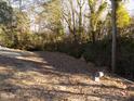 An image showing the empty lot at 104 Halifax Rd, Louisburg, NC 27549