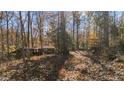 Overgrown lot with debris, needs clearing at 90 Little Indian Creek Rd, Goldston, NC 27252
