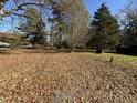 Spacious side yard with scattered leaves and mature trees at 4424 Denfield St, Durham, NC 27704