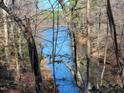 Scenic view of a lake through the trees at 3722 Durham Rd, Raleigh, NC 27614
