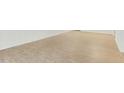 Spacious living space with light wood floors and neutral wall paint for customizable decor at 642 Pine Ridge Pl, Raleigh, NC 27609