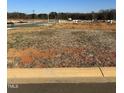 Vacant lot ready for construction, new development in progress, featuring partially cleared land and neighborhood amenities at 3025 White Rail Dr, Fuquay Varina, NC 27526