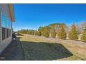 Landscaped backyard with a row of evergreen trees offering privacy at 1206 Newton Dr., Mebane, NC 27302