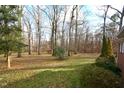 Wooded backyard offering privacy and natural beauty at 315 Lakeshore Dr, Hillsborough, NC 27278