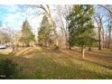 Spacious side yard with mature trees and grassy area at 315 Lakeshore Dr, Hillsborough, NC 27278