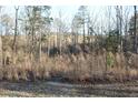View of the secluded wooded area behind the property, showcasing the natural surroundings and privacy at 979 Natchez Trce, Fuquay Varina, NC 27526