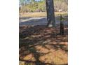 Pine straw covered ground with scattered pine cones at 4053 Little Creek Church Rd, Clayton, NC 27520
