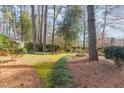 Landscaped side yard with tall trees and green grass at 2801 Chelsea Cir, Durham, NC 27707