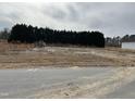 Cleared homesite ready for building with a tree lined rear and sign showing the lot number at 565 Sweet Potato Lane # 07, Nashville, NC 27856